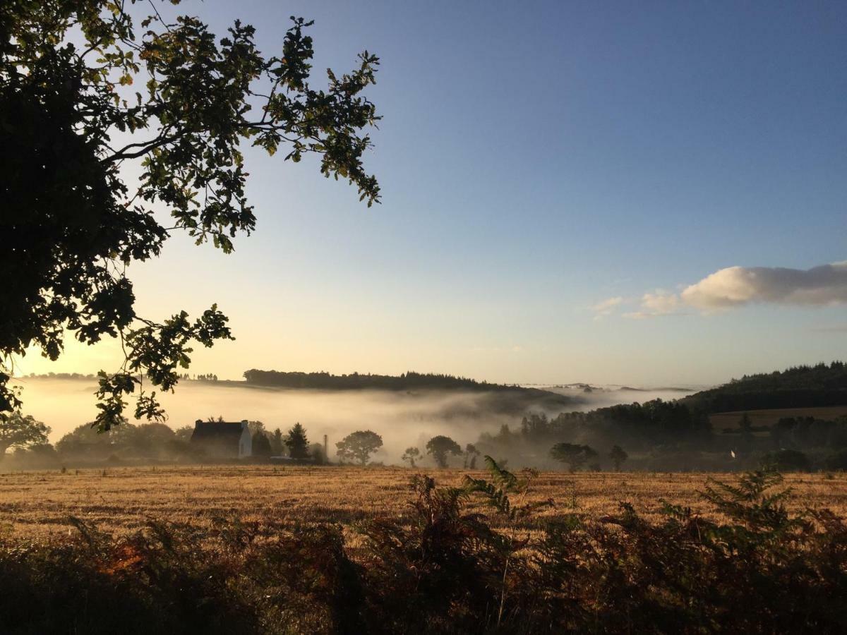 La Colline Des Renards Chambres Locmaria-Berrien Екстер'єр фото